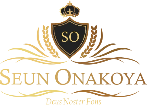 The Seun Onakoya Company logo
